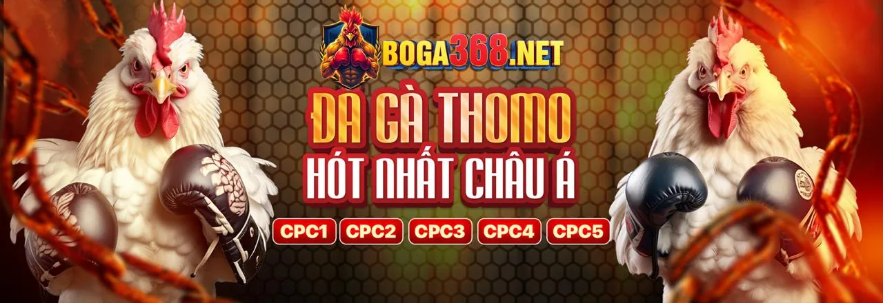 Bảo mật tuyệt đối thông tin người dùng