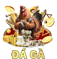 Đá gà trực tuyến SP8BET